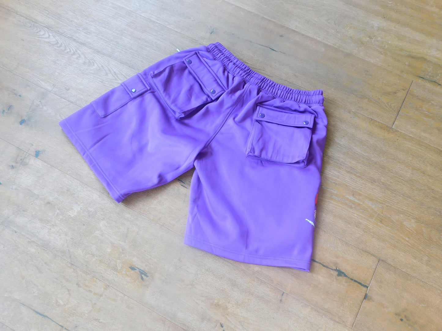 Raptor Purple