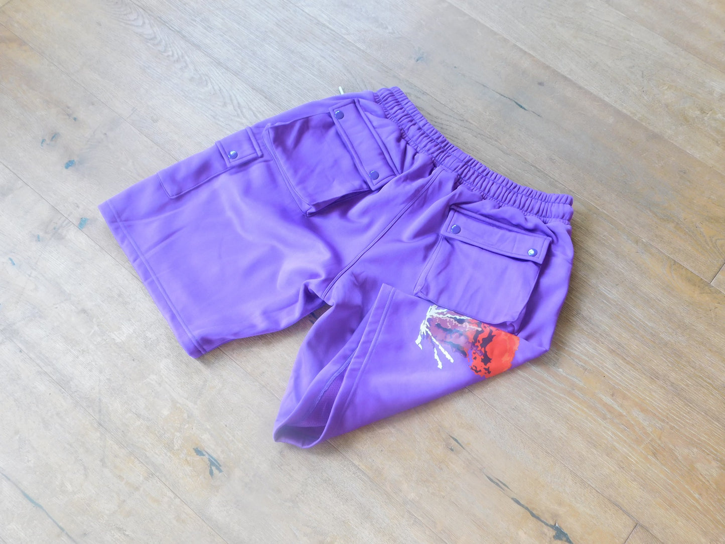 Raptor Purple